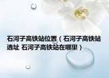 石河子高鐵站位置（石河子高鐵站選址 石河子高鐵站在哪里）