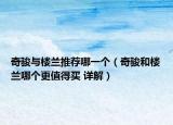 奇駿與樓蘭推薦哪一個(gè)（奇駿和樓蘭哪個(gè)更值得買 詳解）