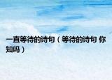 一直等待的詩句（等待的詩句 你知嗎）