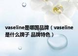 vaseline是哪國(guó)品牌（vaseline是什么牌子 品牌特色）