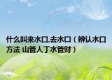 什么叫來(lái)水口,去水囗（辨認(rèn)水口方法 山管人丁水管財(cái)）