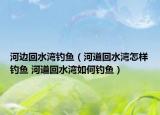 河邊回水灣釣魚（河道回水灣怎樣釣魚 河道回水灣如何釣魚）