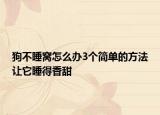 狗不睡窩怎么辦3個簡單的方法讓它睡得香甜