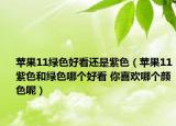 蘋果11綠色好看還是紫色（蘋果11紫色和綠色哪個(gè)好看 你喜歡哪個(gè)顏色呢）