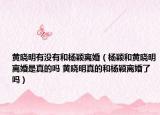 黃曉明有沒(méi)有和楊穎離婚（楊穎和黃曉明離婚是真的嗎 黃曉明真的和楊穎離婚了嗎）
