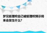 夢(mèng)見狐貍咬自己被狐貍咬預(yù)示將來(lái)會(huì)發(fā)生什么?