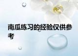 南瓜練習的經(jīng)驗僅供參考