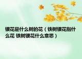 銀花是什么樹的花（鐵樹銀花指什么花 鐵樹銀花什么意思）
