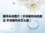 貓耳朵湯圖片（羊湯貓耳朵的做法 羊湯貓耳朵怎么做）