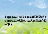 oppoa11x與oppoa11區(qū)別外觀（oppoa11x優(yōu)缺點(diǎn) 給大家簡單介紹一下）