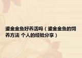 鎏金金魚好養(yǎng)活嗎（鎏金金魚的飼養(yǎng)方法 個(gè)人的經(jīng)驗(yàn)分享）