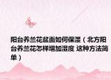 陽臺養(yǎng)蘭花盆面如何保濕（北方陽臺養(yǎng)蘭花怎樣增加濕度 這種方法簡單）