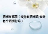 泗洲在哪里（安徽有泗洲嗎 安徽有個(gè)泗洲村嗎）