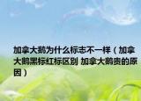 加拿大鵝為什么標(biāo)志不一樣（加拿大鵝黑標(biāo)紅標(biāo)區(qū)別 加拿大鵝貴的原因）