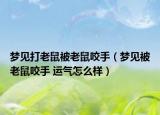 夢(mèng)見(jiàn)打老鼠被老鼠咬手（夢(mèng)見(jiàn)被老鼠咬手 運(yùn)氣怎么樣）
