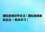 國際象棋初學(xué)走法（國際象棋象的走法 一起來學(xué)習(xí)）