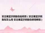 安吉星藍牙鑰匙包如何用（安吉星藍牙鑰匙包怎么用 安吉星藍牙鑰匙包使用教程）