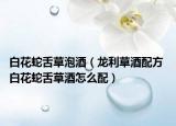 白花蛇舌草泡酒（龍利草酒配方 白花蛇舌草酒怎么配）