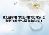 狗爪豆的作用與功效 你有吃過嗎為什么（狗爪豆的作用與功效 你有吃過嗎）