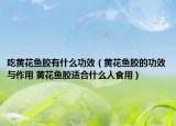 吃黃花魚膠有什么功效（黃花魚膠的功效與作用 黃花魚膠適合什么人食用）