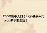 CSGO新手入門（csgo新手入門 csgo新手怎么玩）