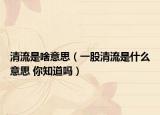 清流是啥意思（一股清流是什么意思 你知道嗎）