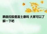 鵬鼎控股是富士康嗎 大家可以了解一下吧