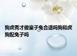 狗虎秀才做童子兔合適嗎狗和虎狗配兔子嗎