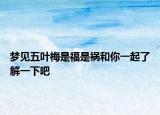 夢(mèng)見五葉梅是福是禍和你一起了解一下吧
