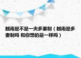 越南是不是一夫多妻制（越南是多妻制嗎 和你想的是一樣嗎）