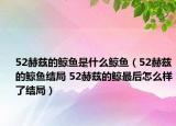 52赫茲的鯨魚(yú)是什么鯨魚(yú)（52赫茲的鯨魚(yú)結(jié)局 52赫茲的鯨最后怎么樣了結(jié)局）
