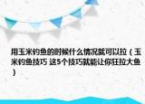 用玉米釣魚的時候什么情況就可以拉（玉米釣魚技巧 這5個技巧就能讓你狂拉大魚）