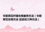 令箭荷花扦插生根最快方法（令箭荷花生根方法 試試這三種方法）