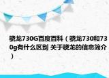 驍龍730G百度百科（驍龍730和730g有什么區(qū)別 關(guān)于驍龍的信息簡介）