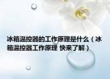 冰箱溫控器的工作原理是什么（冰箱溫控器工作原理 快來(lái)了解）
