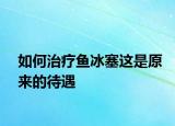 如何治療魚(yú)冰塞這是原來(lái)的待遇