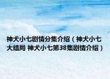 神犬小七劇情分集介紹（神犬小七大結(jié)局 神犬小七第38集劇情介紹）