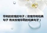 帶刺的玫瑰的句子（玫瑰帶刺經(jīng)典句子 有關(guān)玫瑰帶刺的經(jīng)典句子）