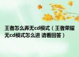 王者怎么弄無cd模式（王者榮耀無cd模式怎么進 請看回答）