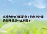 亮片為什么可以釣魚（釣魚亮片能釣魚嗎 這是什么東西）