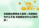 兆新股份復(fù)牌會(huì)大漲嗎（兆新股份為什么不漲 兆新股份為什么只跌不漲）