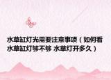 水草缸燈光需要注意事項（如何看水草缸燈夠不夠 水草燈開多久）
