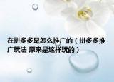 在拼多多是怎么推廣的（拼多多推廣玩法 原來是這樣玩的）