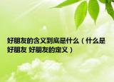 好朋友的含義到底是什么（什么是好朋友 好朋友的定義）