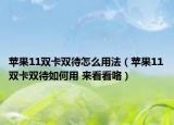 蘋果11雙卡雙待怎么用法（蘋果11雙卡雙待如何用 來看看咯）
