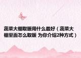 蔬菜大棚取暖用什么最好（蔬菜大棚里面怎么取暖 為你介紹2種方式）