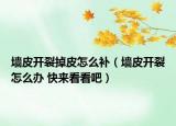 墻皮開裂掉皮怎么補（墻皮開裂怎么辦 快來看看吧）