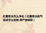 紅薯漿水怎么凈化（紅薯漿水的氣泡沫怎么去除 原產(chǎn)地哪里）