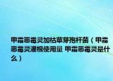 甲霜惡霉靈加枯草芽孢桿菌（甲霜惡霉靈灌根使用量 甲霜惡霉靈是什么）