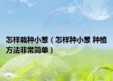 怎樣栽種小蔥（怎樣種小蔥 種植方法非常簡單）
